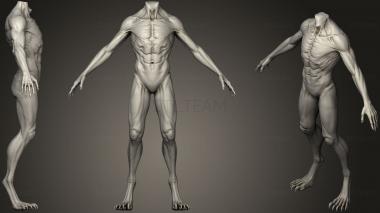 3D model Body Sculpt 1 (STL)